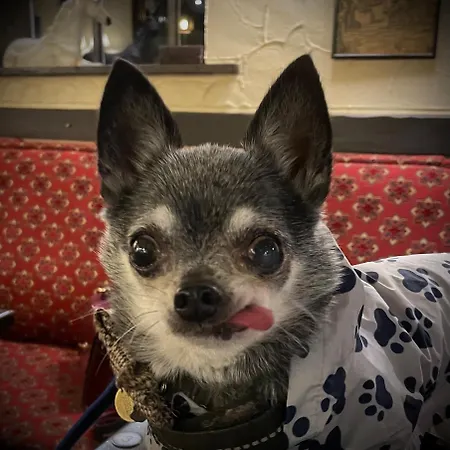 The Unicorn, 3* Ambleside