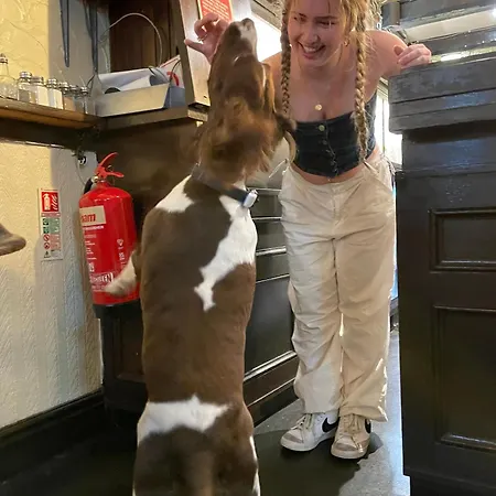 The Unicorn, Gasthof